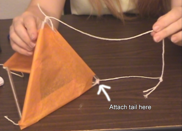 Kite string and tail location